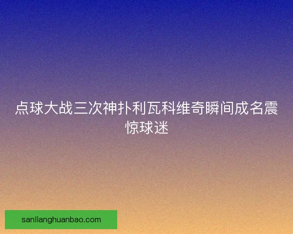 点球大战三次神扑利瓦科维奇瞬间成名震惊球迷
